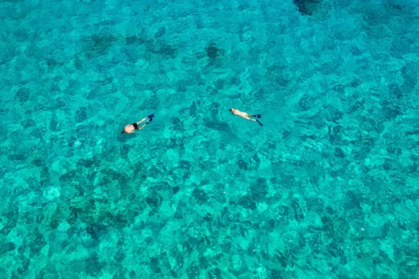 Snorkeller above a coral reef in the Red Sea