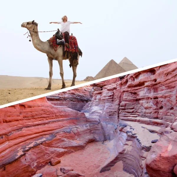 Day Trips from Sharm El Sheikh