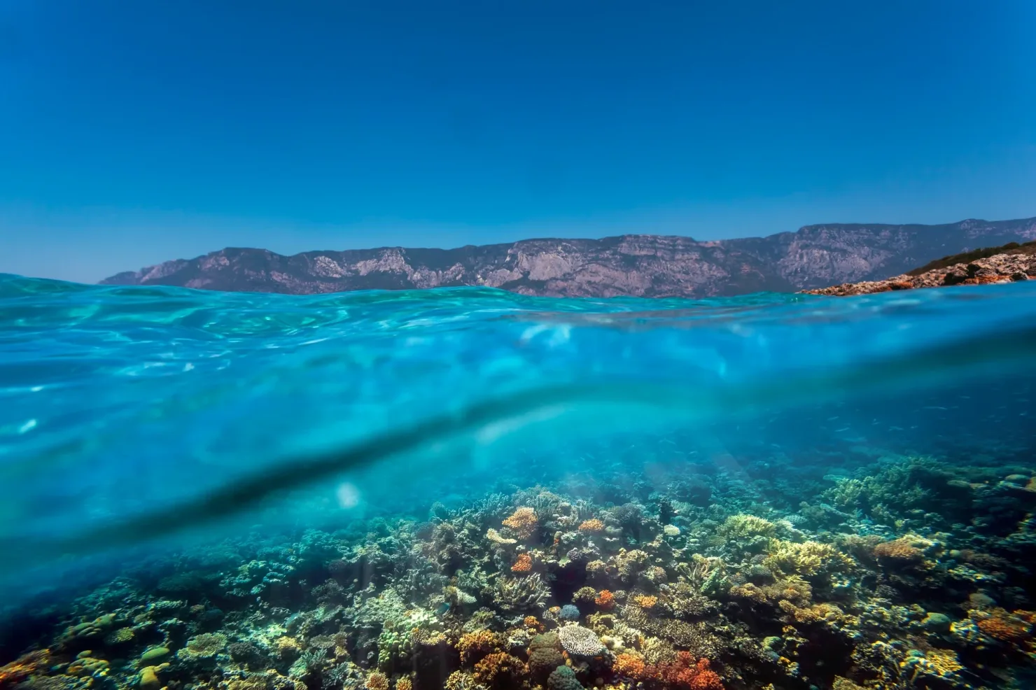 Zájezdy a aktivity v Hurghada - Egyptra Travel