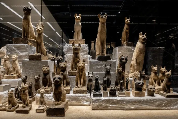Sharm El Sheikh Museum & Old Market Private Tour