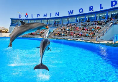 Hurghada: pokaz w Dolphin World + opcjonalne pływanie z delfinami