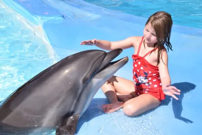 Sahl Hasheesh: Dolphina Park-show + valgfri svømming med delfiner