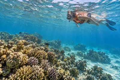 Sahl Hasheesh: Tur til Orange Island med frokost, dykning og parasailing
