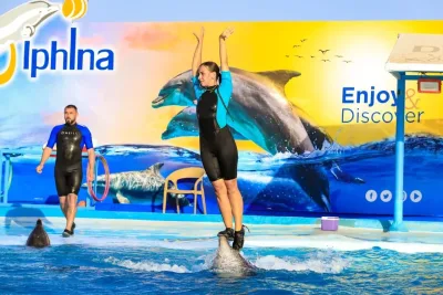 Эль-Гуна: шоу Dolphina Park + плавание с дельфинами по желанию