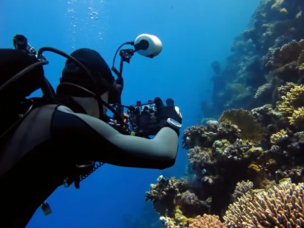 Sharm El Sheikh : Ras Mohammed Diving Adventure with Private Hotel Transfers - Photo 1