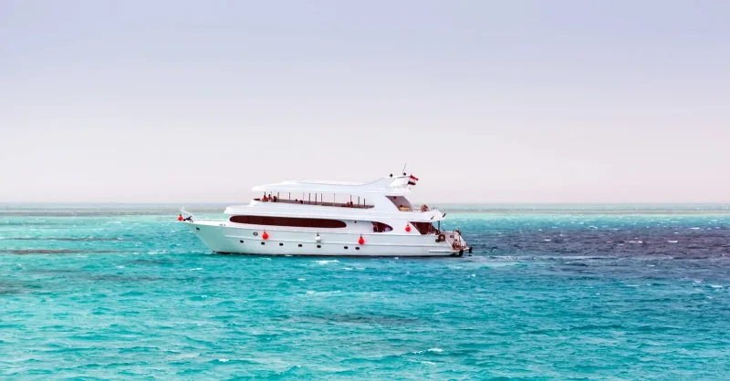 Kaplumbağalar ve özel karşılaşmalar — Tiran Adası