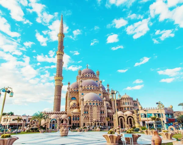 Sharm El Sheikh: Tour privato della città con cena a base di frutti di mare
