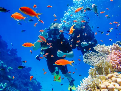 Tiran Adası Sharm El Sheikh şnorkel turu 5