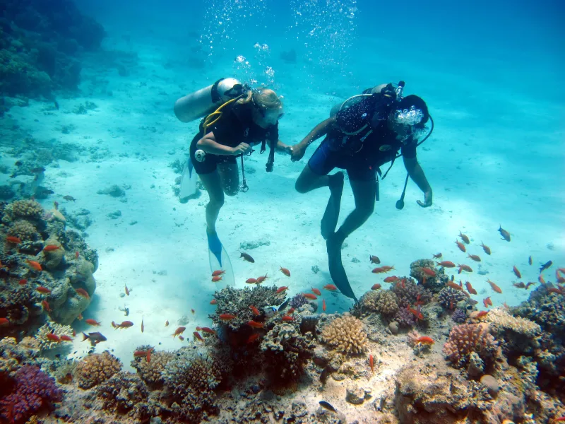 Pristine coral gardens — Nemo Island