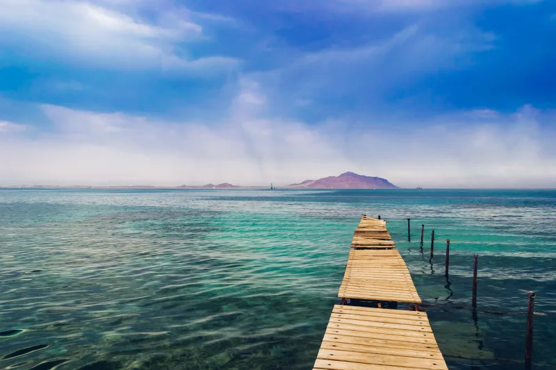 Thomas Reef — Strait of Tiran