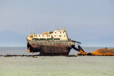 Tiran Adası Sharm El Sheikh şnorkel turu 2