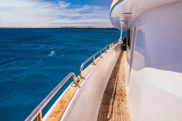 Sharm: White Island and Ras Mohammed with Private Transfers - Photo 23