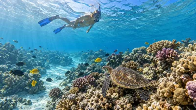 Marsa Alam: Snorkel with Sea Turtles Marsa Mubarak — 8 hours