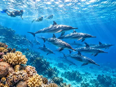 Marsa Alam: Gita in Barca con Snorkeling alla Casa dei Delfini della Barriera di Sataya con Pranzo — 8 ore