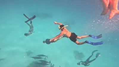 Port Ghalib: Sataya Reefs Dolphin Snorkel Cruise with Lunch — 7 hours