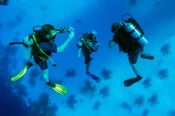 Hurghada: Orange Island Snorkeling, Diving with lunch - Photo 1
