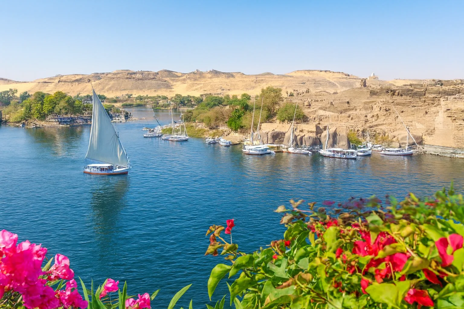 أسوان — بوابة النوبة