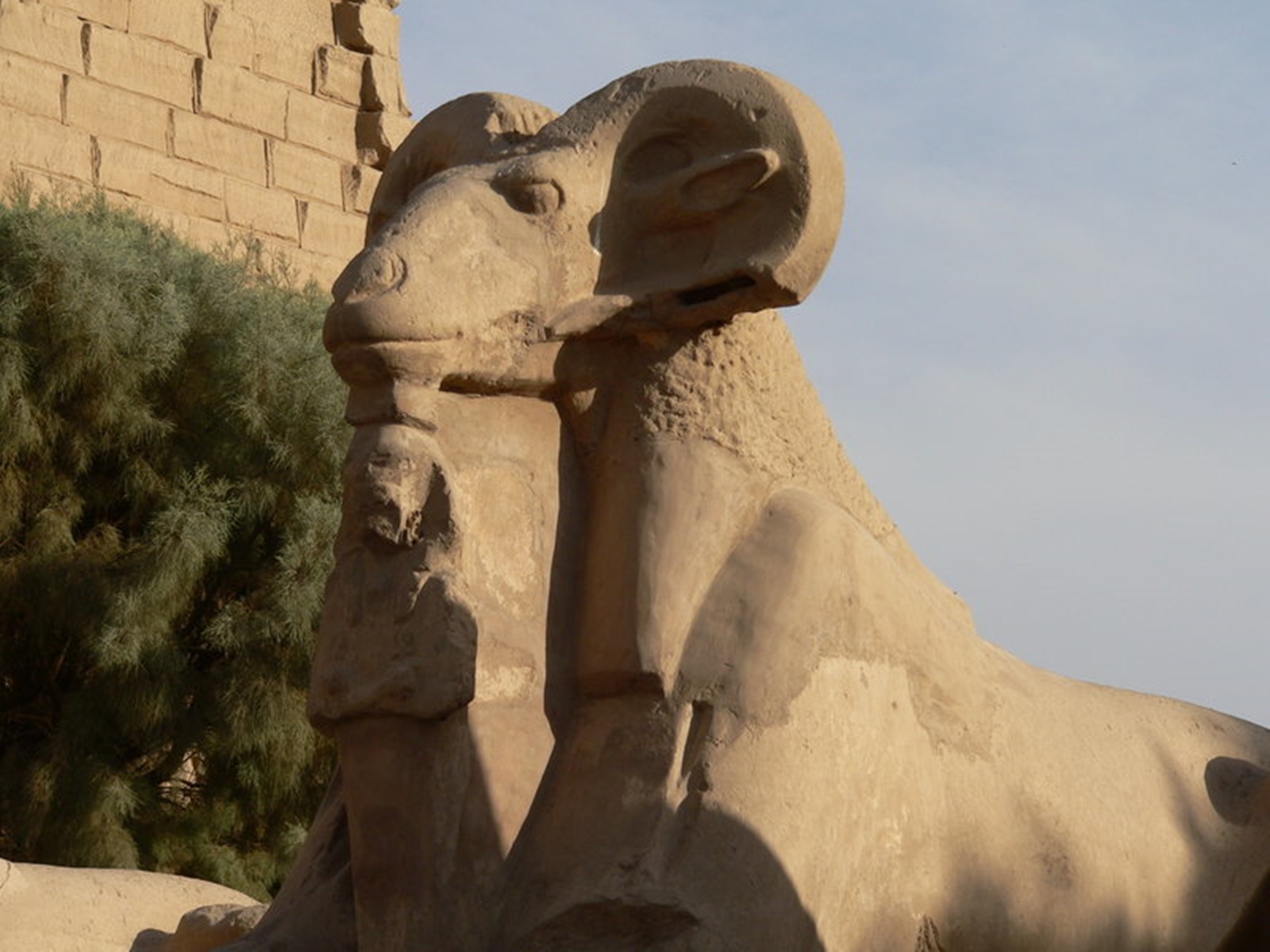 Excursion Hurghada Karnak Hatchepsout Vallée des Rois
