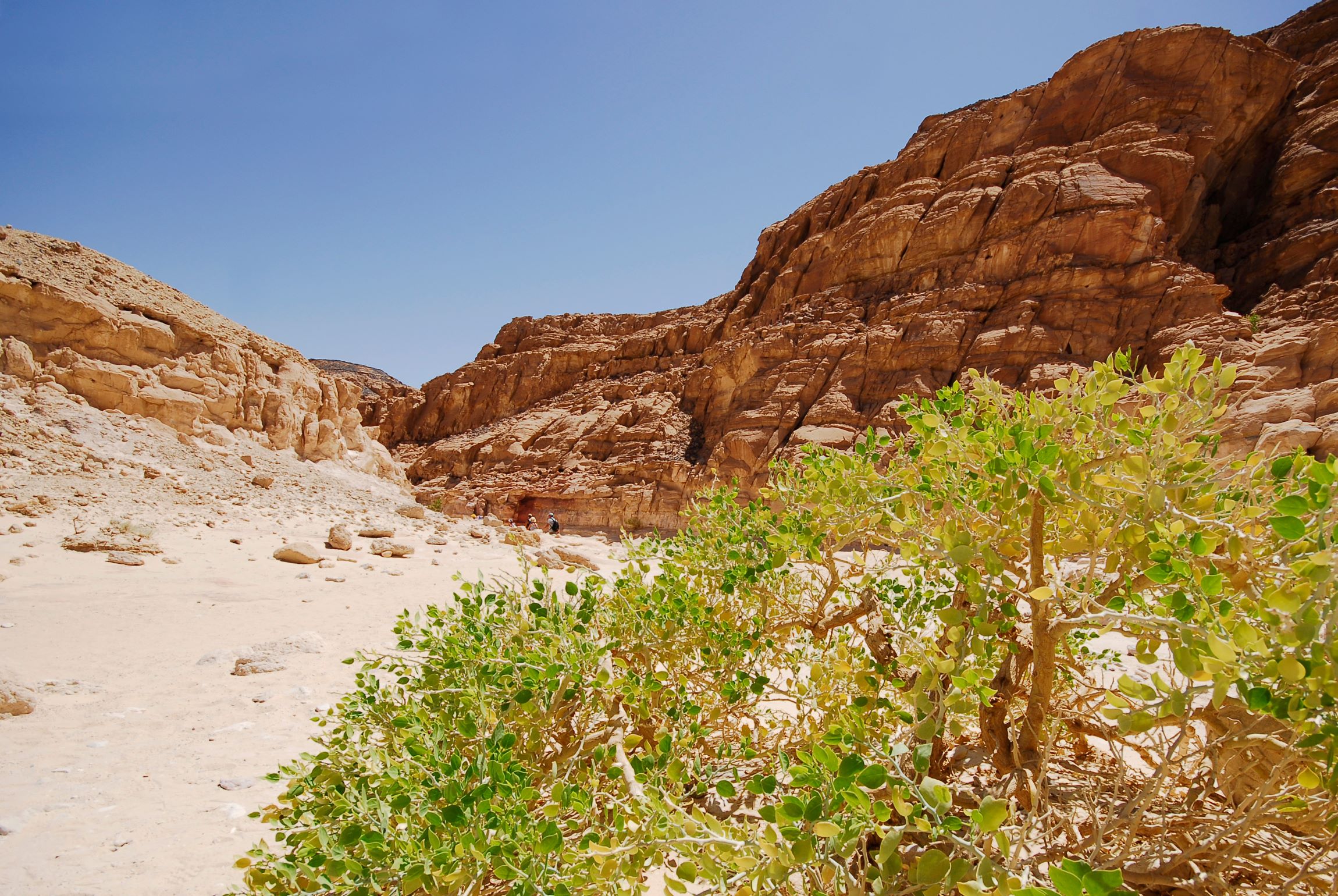 Renkli Kanyon Sharm El Sheikh - Dramatik kırmızı kaya oluşumları