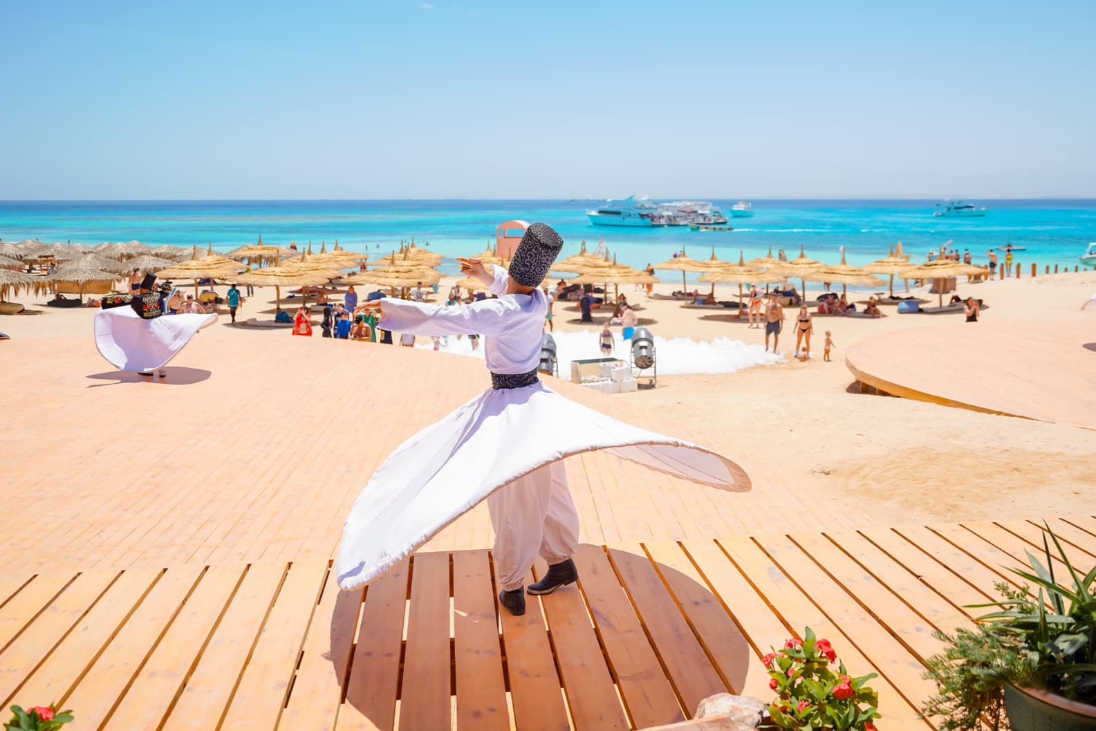 Cennet Adası'ndaki deniz yaşamının sualtı sahnesi