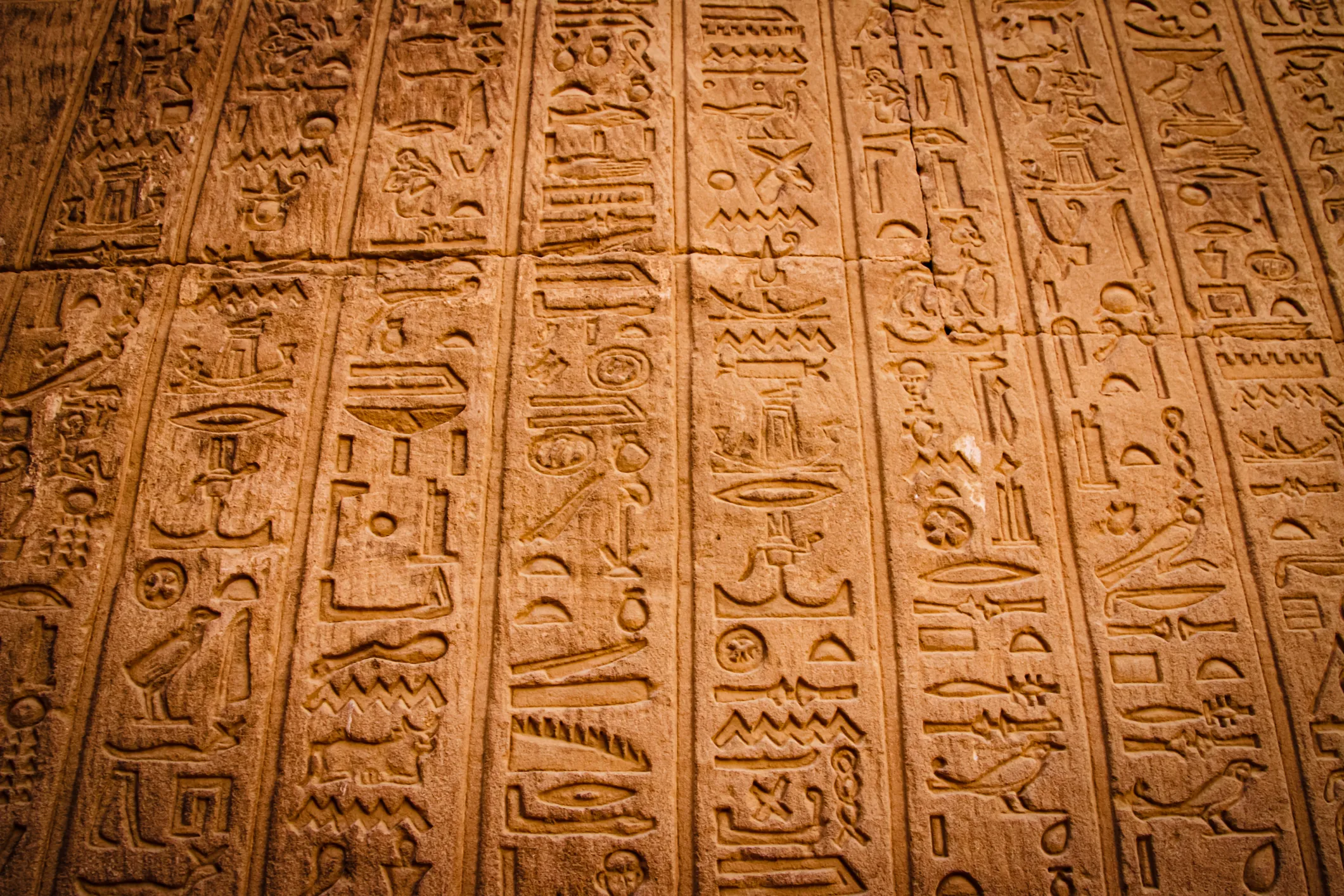 Egyptian Hieroglyphs