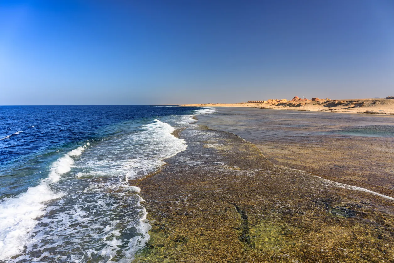 Elphinstone Tauchausflug - Bootstauchgang in Marsa Alam