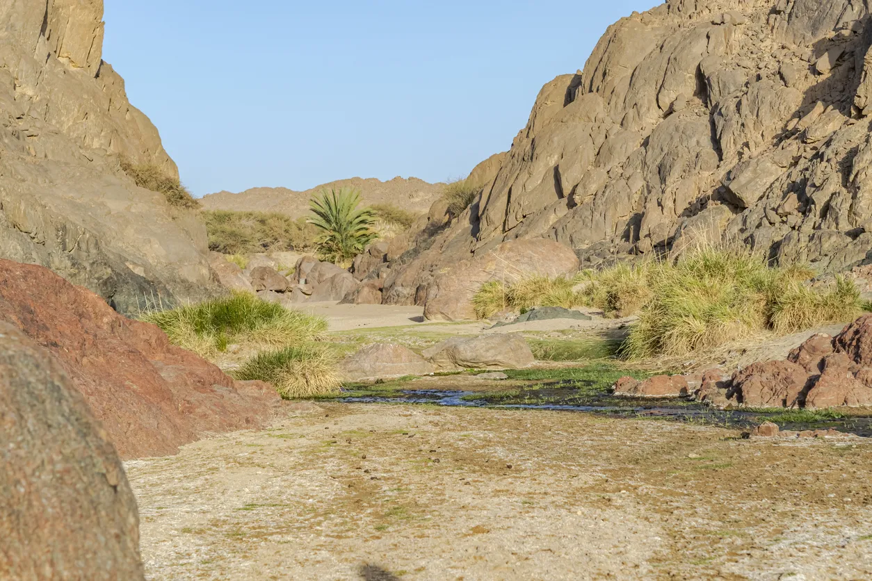 Wadi El Gemal Safari - Jeep Tour durch die Wüste