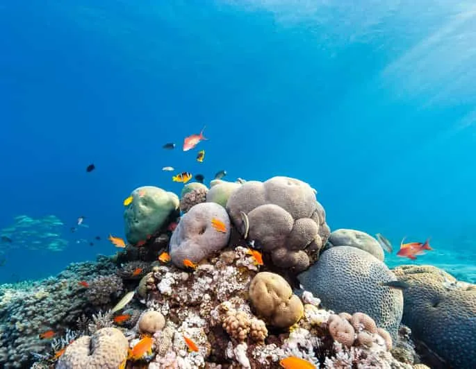 Diagramme en coupe montrant la structure du Blue Hole et la topographie sous-marine environnante