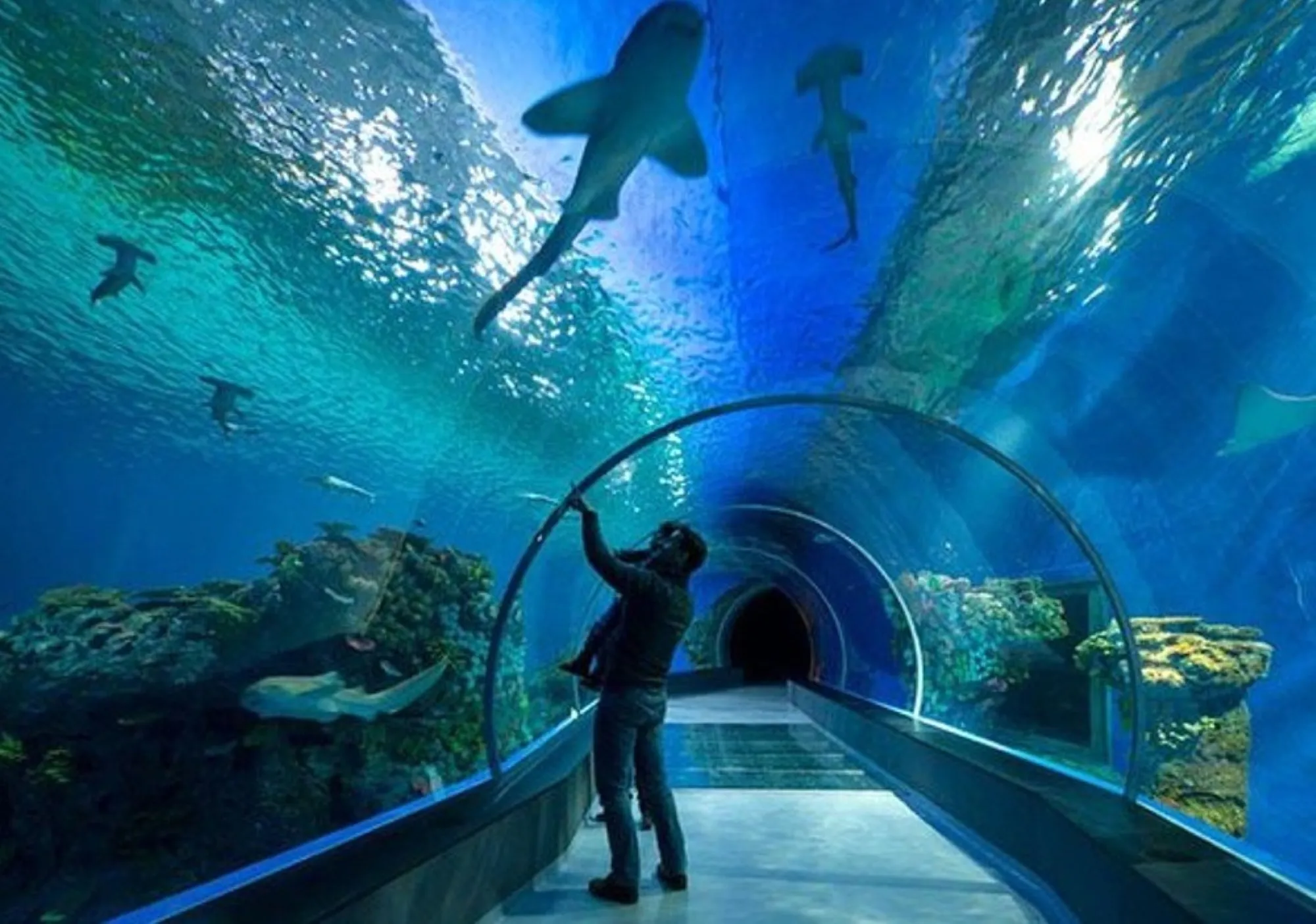 Main tank display at Hurghada Grand Aquarium