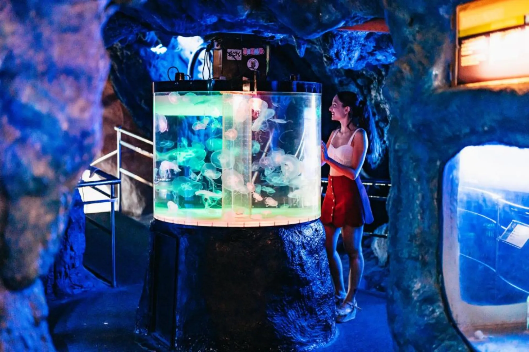 Jellyfish exhibition at Hurghada Grand Aquarium