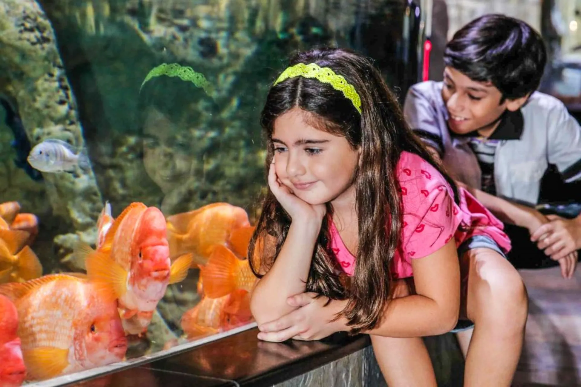 Kids discovery zone at Hurghada Grand Aquarium