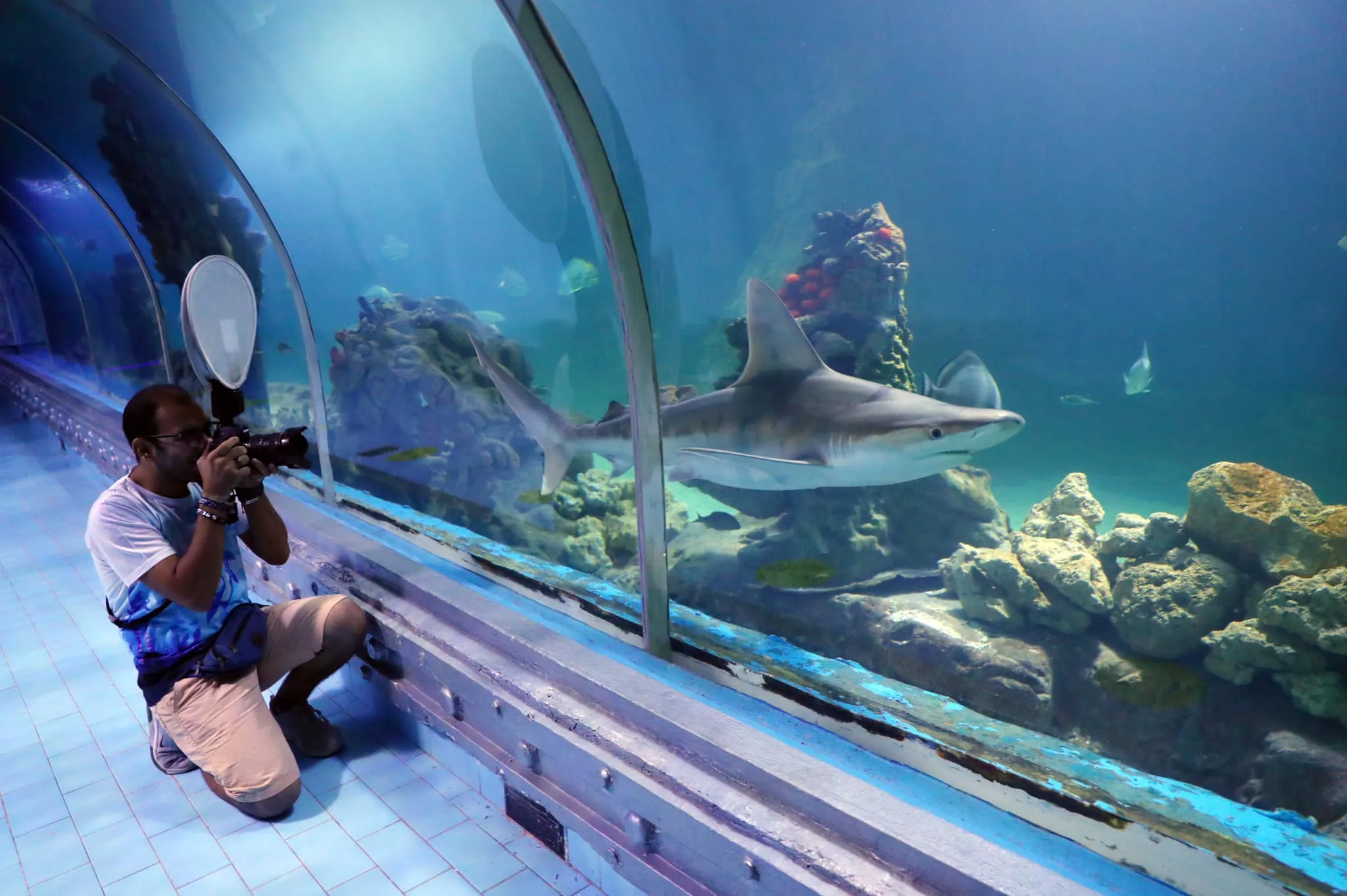 Marine education center at Hurghada Grand Aquarium