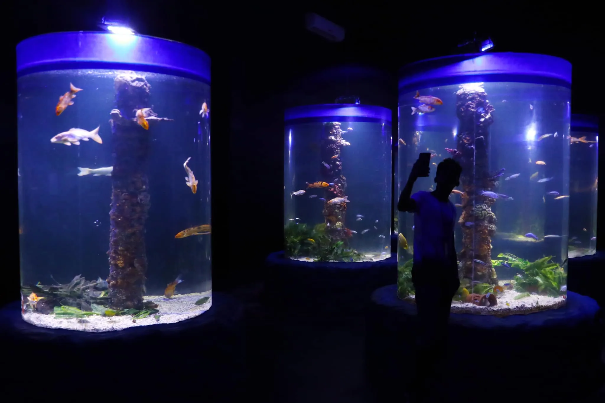 Aquarium architecture at Hurghada Grand Aquarium