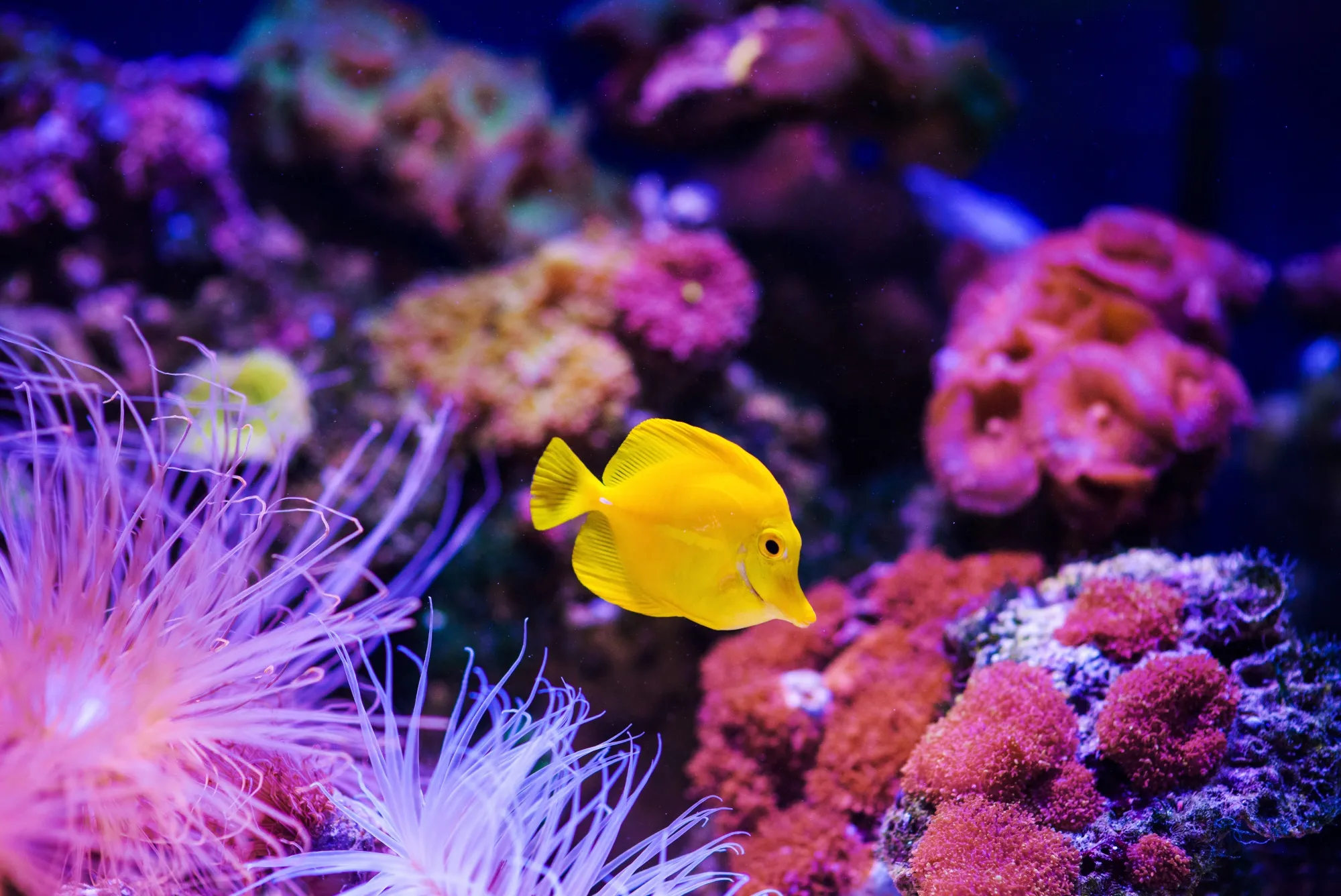 Marine research facility at Hurghada Grand Aquarium