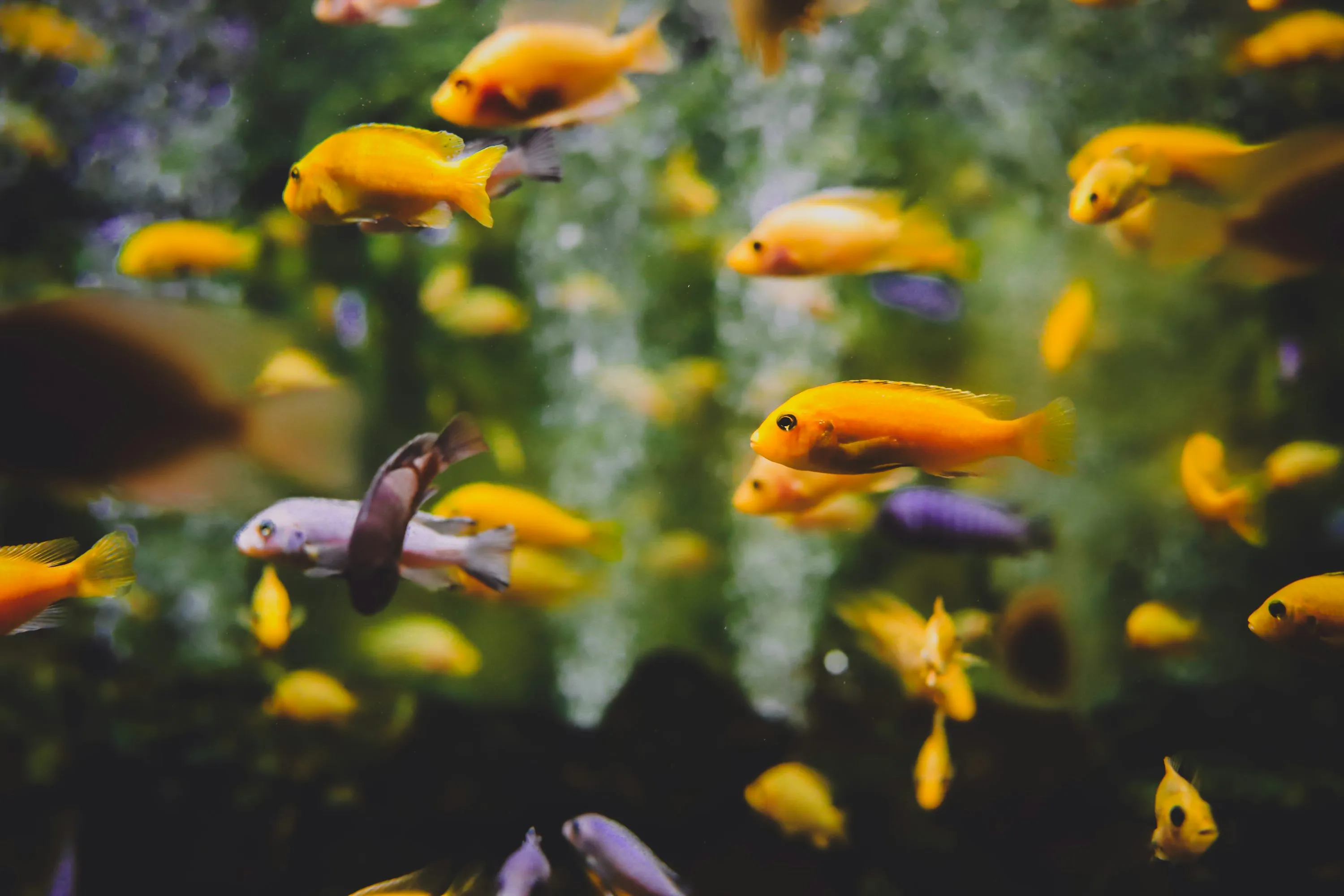 Interactive marine experience touch pools at Hurghada Grand Aquarium