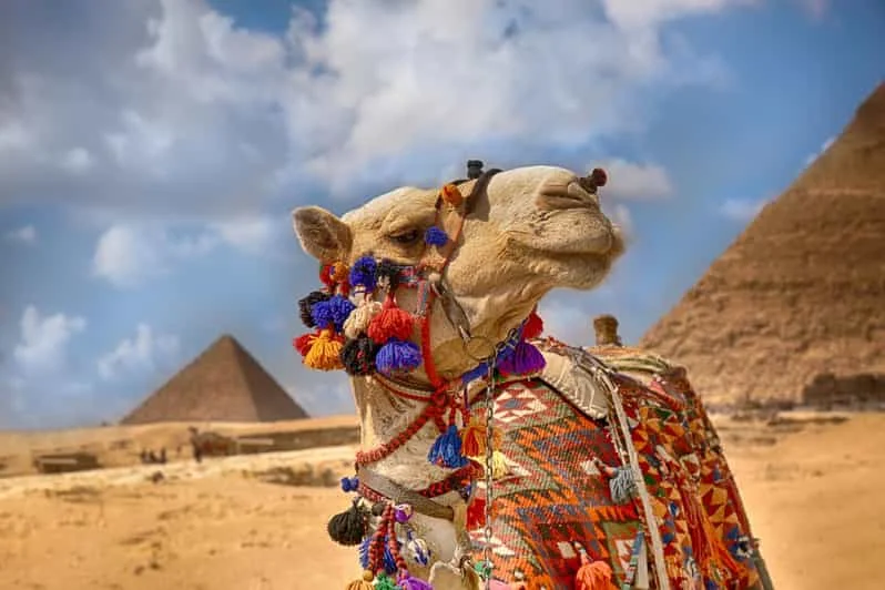 Private Sphinx Egypt tour with camel ride