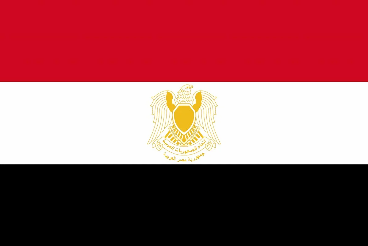 Egyptians celebrating with flags