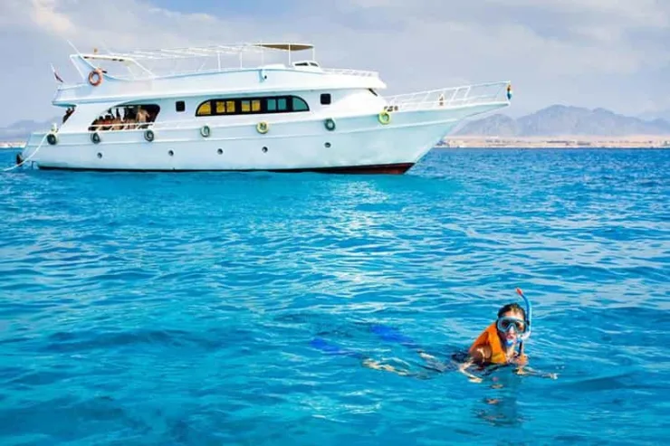 Marsa Alam: Hamata Islands Snorkeling Trip with Lunch - Image 3