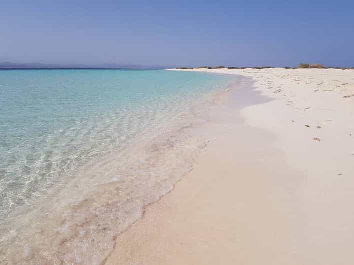 شعب السماداي (بيت الدلافين)
