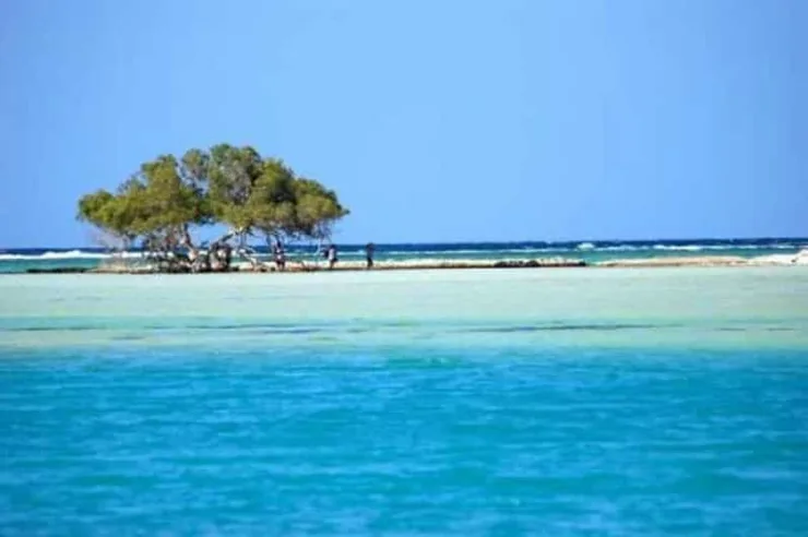 Marsa Alam: Hamata Islands Snorkeling Trip with Lunch - Image 19