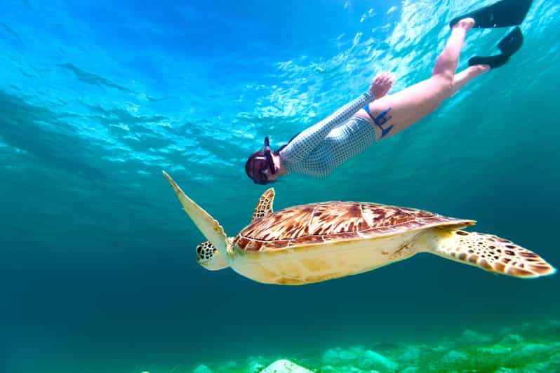 Marsa Alam: Snorkeling con le Tartarughe Marine a Marsa Mubarak