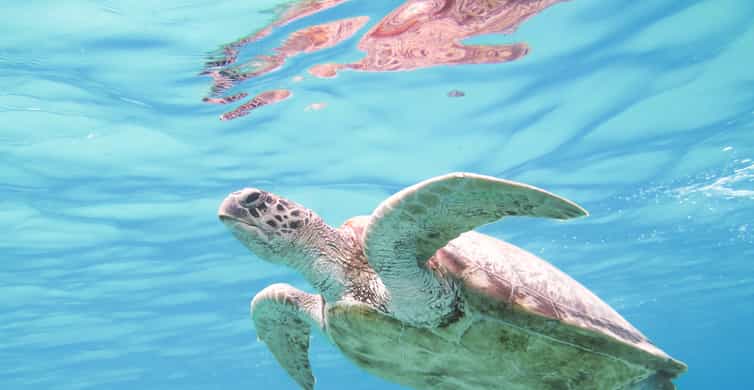 Marsa Alam - Escursione in Barca con Snorkeling