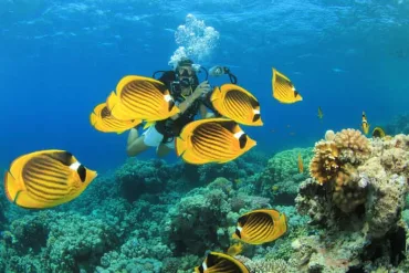 Marsa Alam: Snorkeling Boat Trip with Sea Turtles and Lunch - Image 1