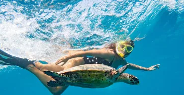 Marsa Alam: Snorkeling Boat Trip with Sea Turtles and Lunch - Image 3