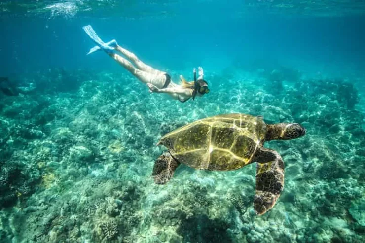 Marsa Alam: Snorkeling Boat Trip with Sea Turtles and Lunch - Image 8