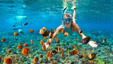 Makadi: Orange Island, Grand Safari, Dolphin House Package - Image 4
