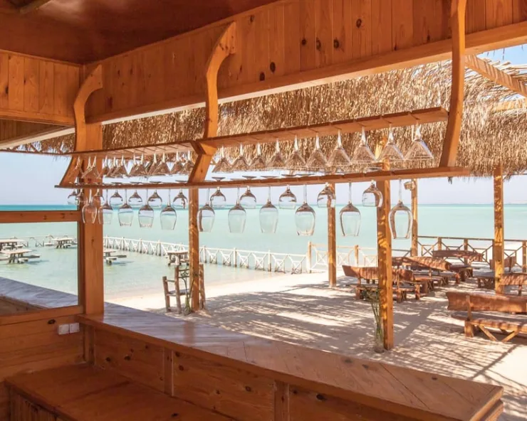 Makadi: Orange Island, Grand Safari, Dolphin House Package - Image 12