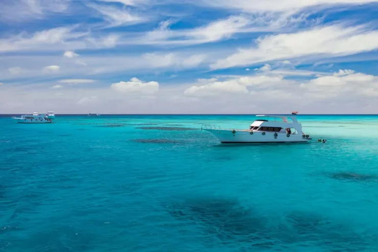 Makadi: Orange Island, Grand Safari, Dolphin House Package - Image 19