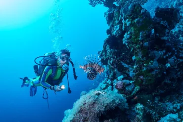 Port Ghalib: Scuba Diving for Beginners Day-Trip with Lunch - Image 1