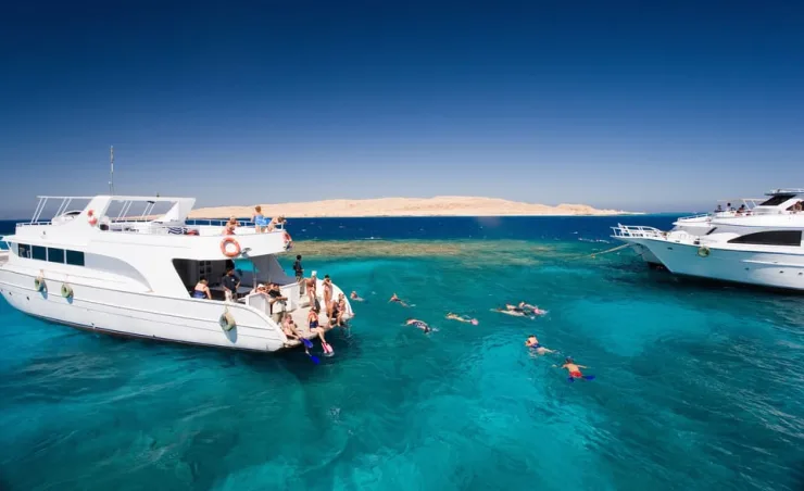 Port Ghalib: Scuba Diving for Beginners Day-Trip with Lunch - Image 5